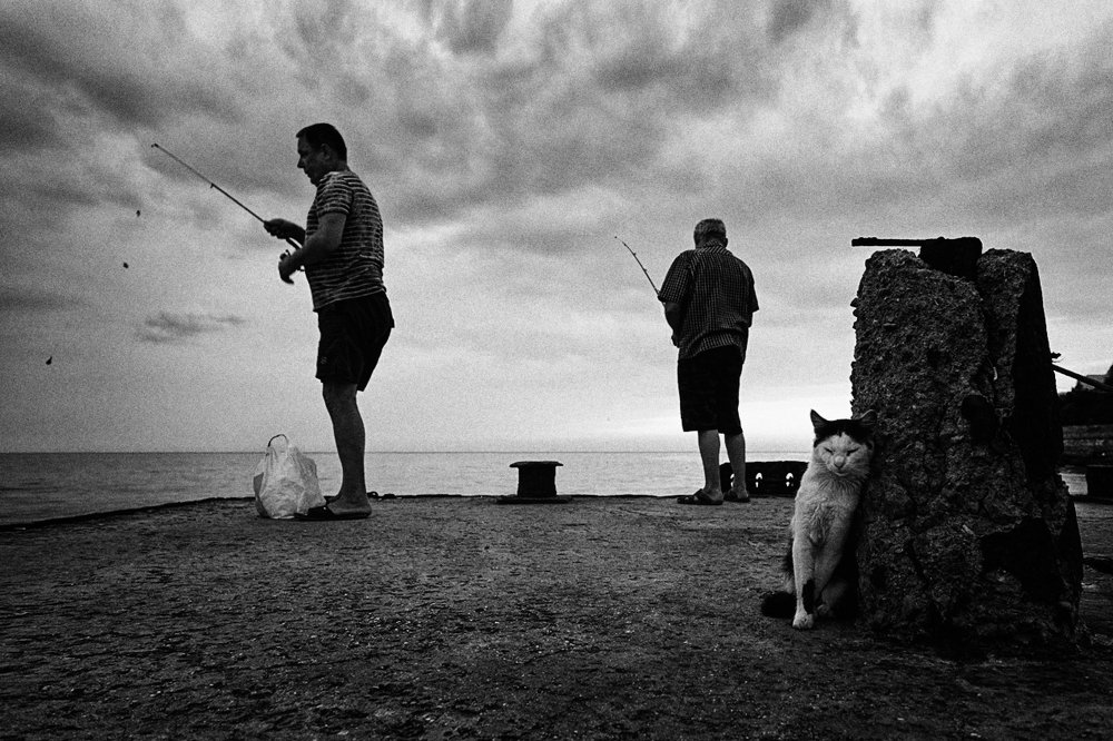 в ожидании....