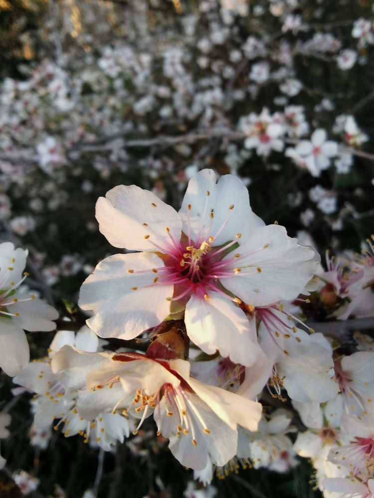 Photograph by adriana castañeda