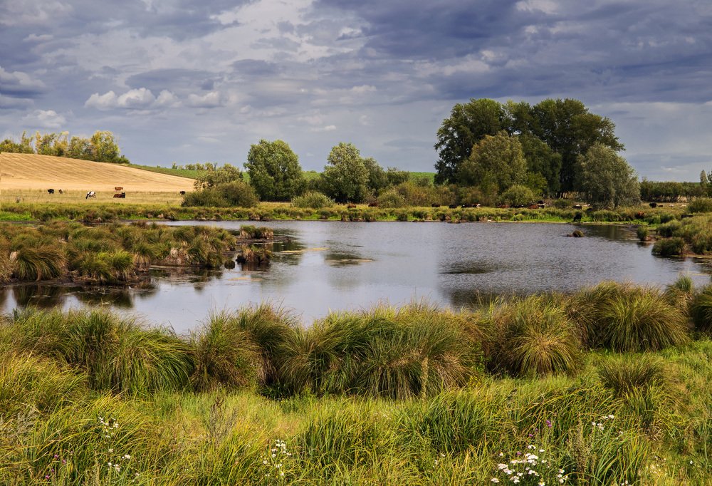 Августа хоровод
