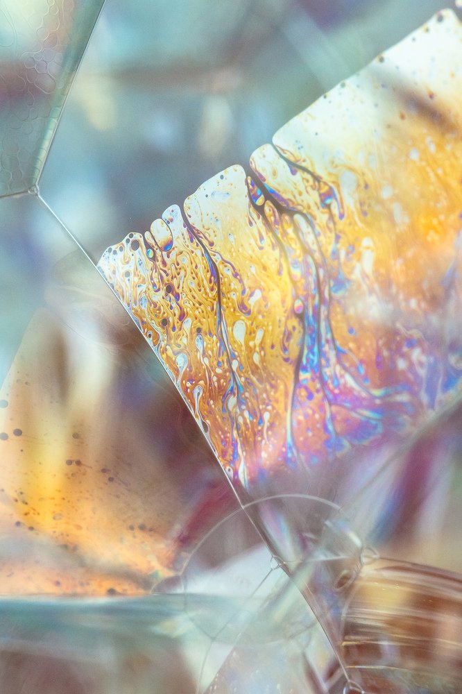 Photograph by Maria Koval