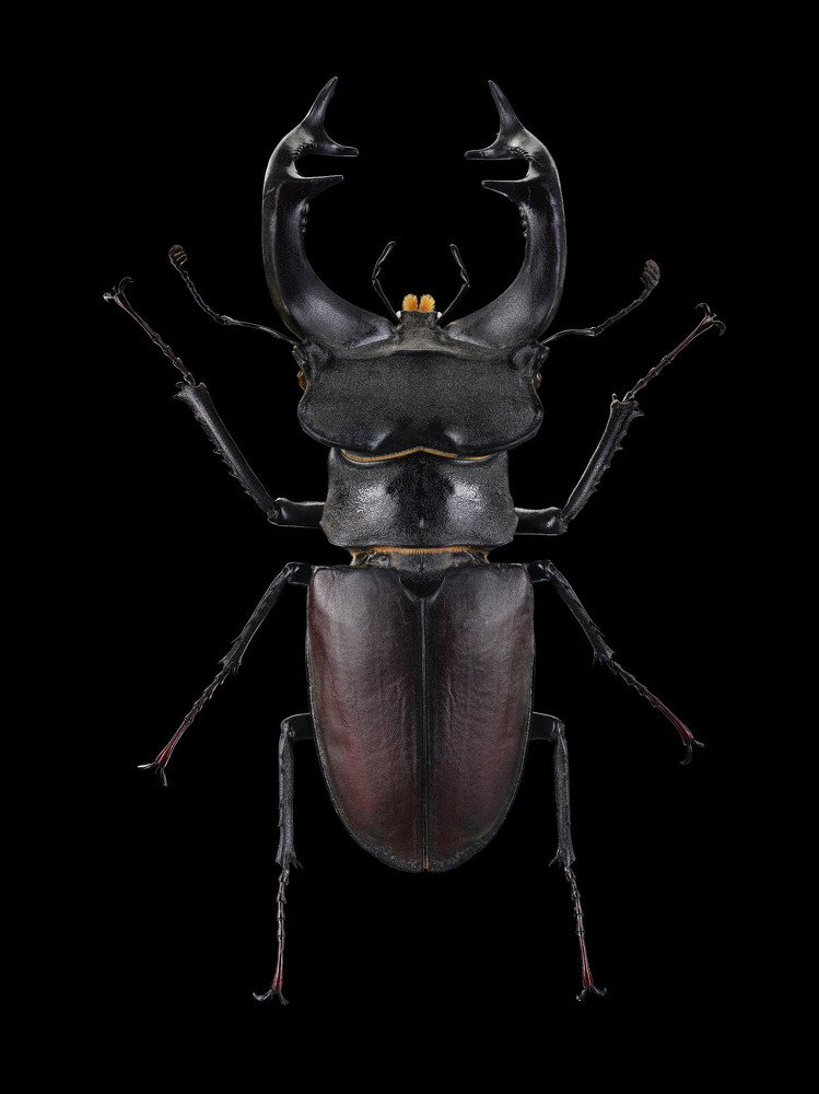 Photograph by Виталий Гулай