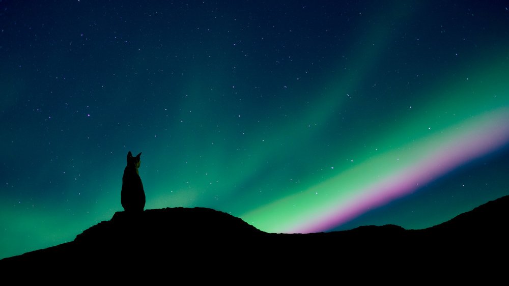 Photograph by Николай Сизиков