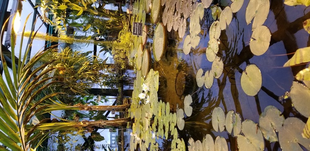 Photo #4365954