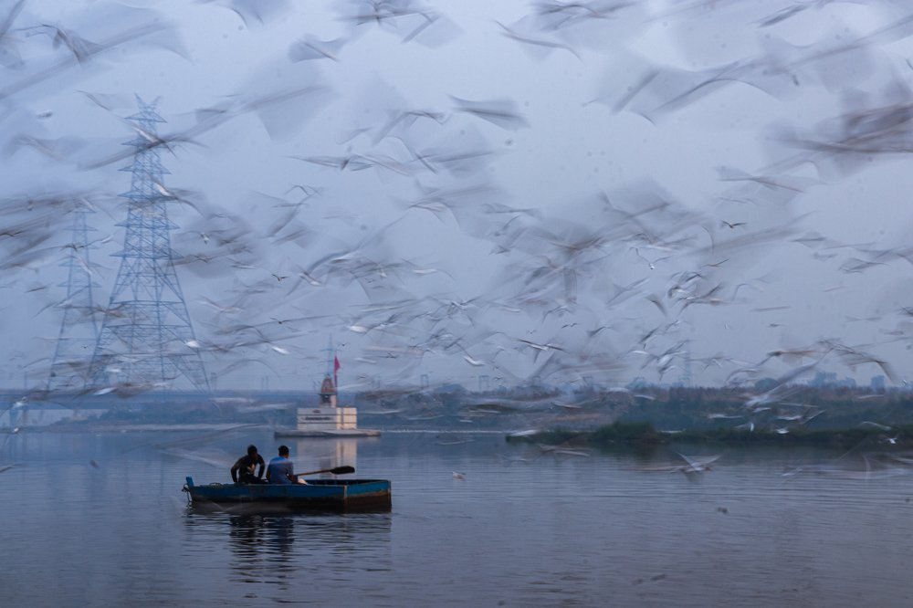 Photograph by ARVIND KUMAR LAKRA