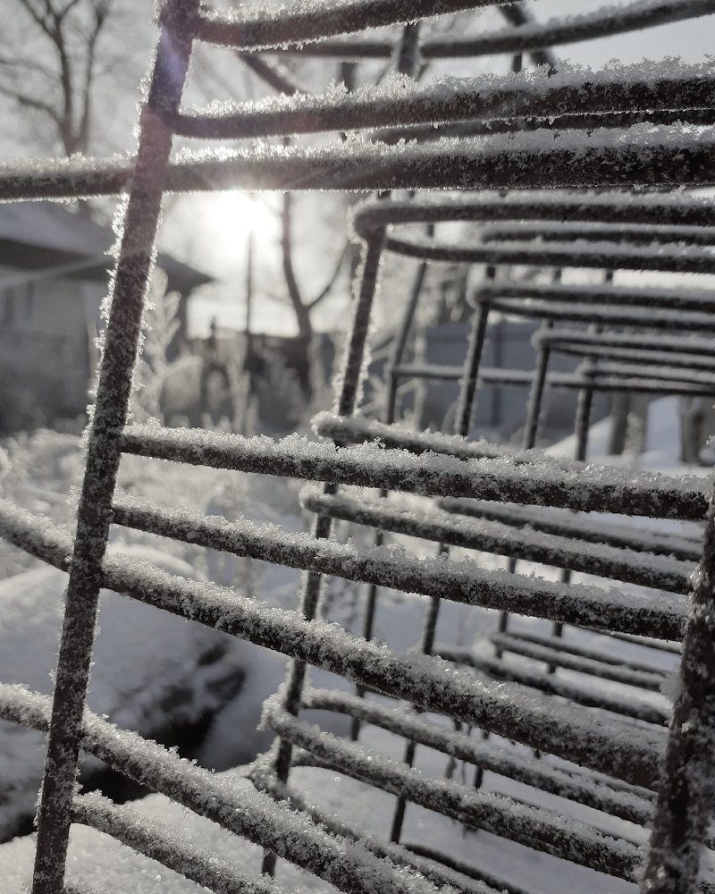 Photograph by Тогжан Таминбаева