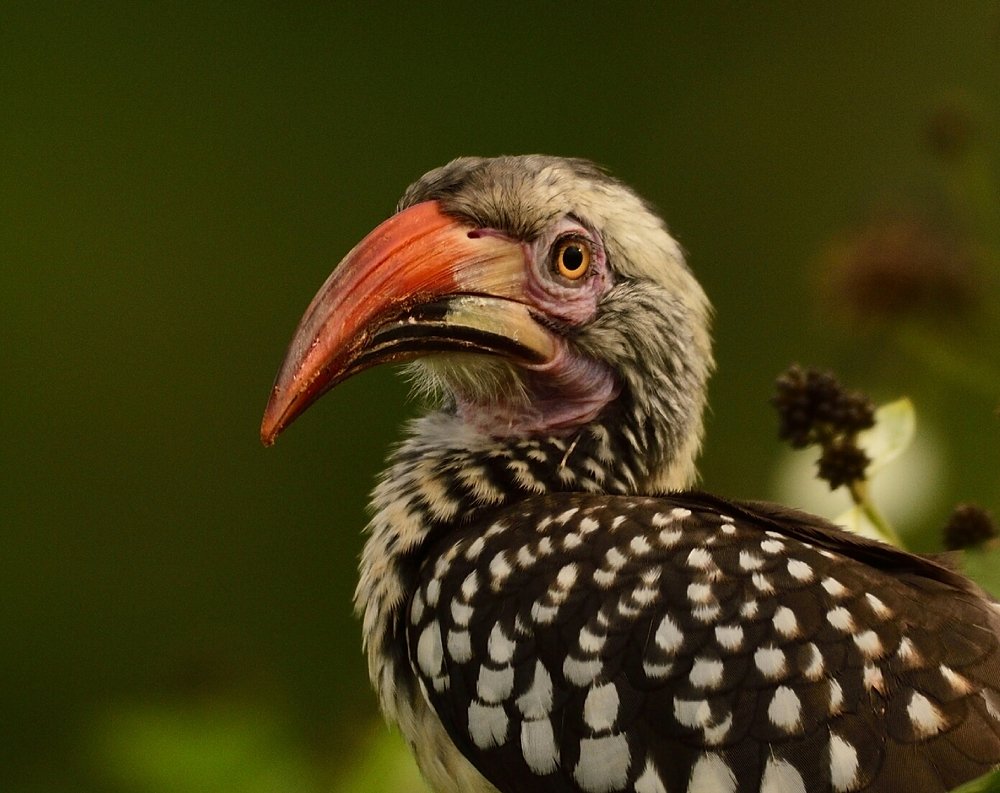 Photograph by Nalin Pandey