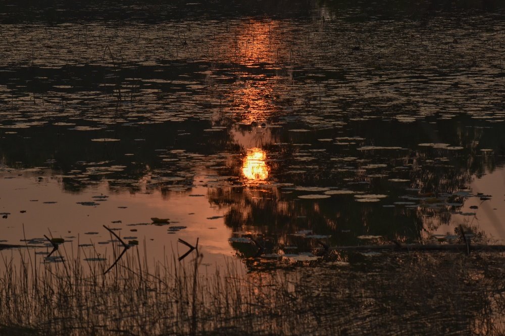 Photograph by DEBDIPTO BAKSHI