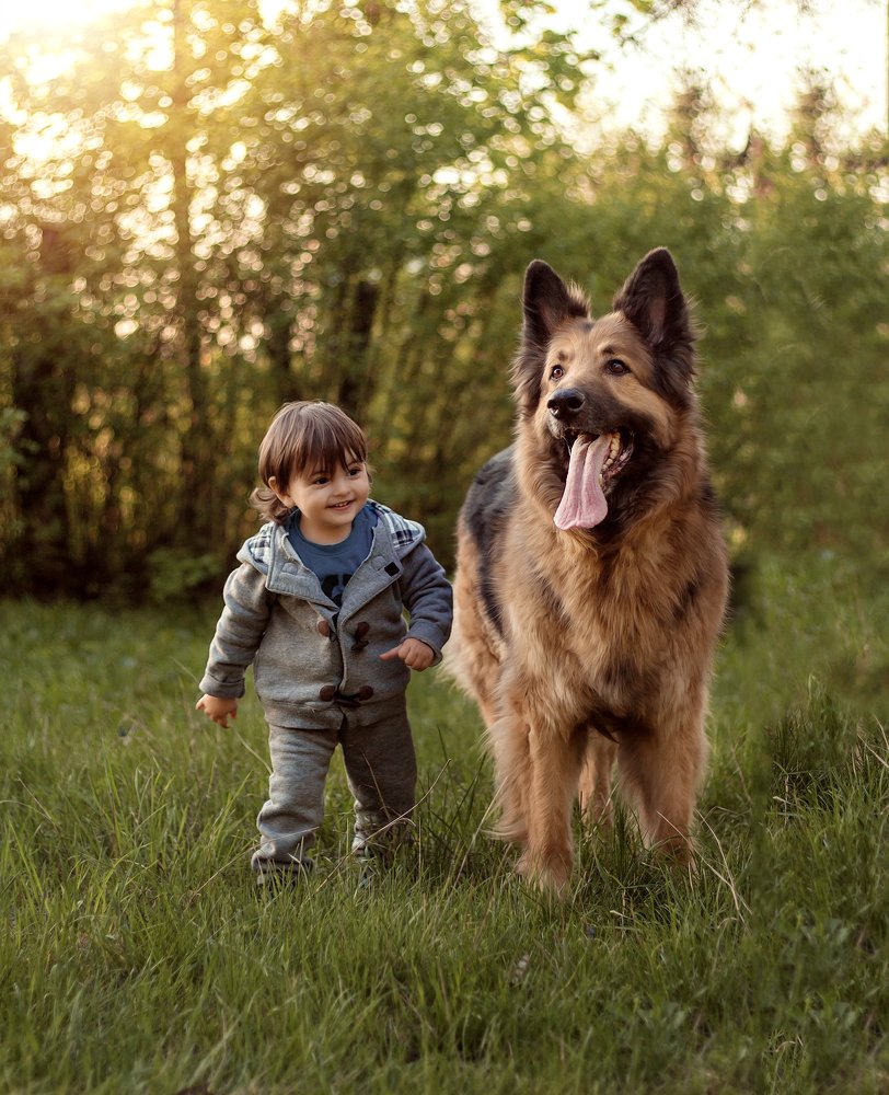 Фотография автора natalia parvan