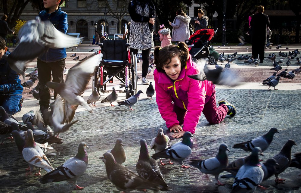 Photograph by Rachid Ayadi