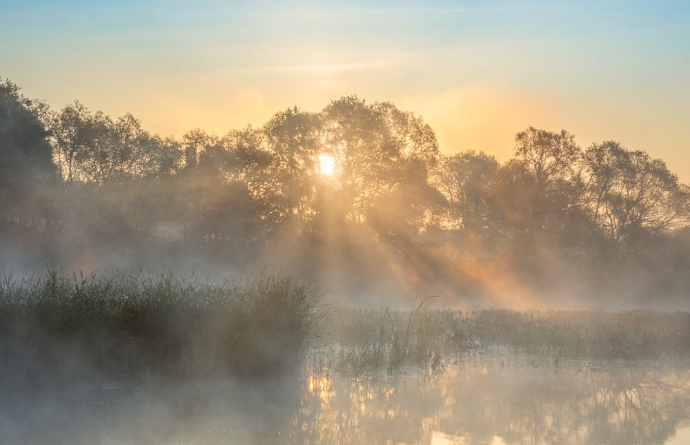Photograph by Александр Овсенёв