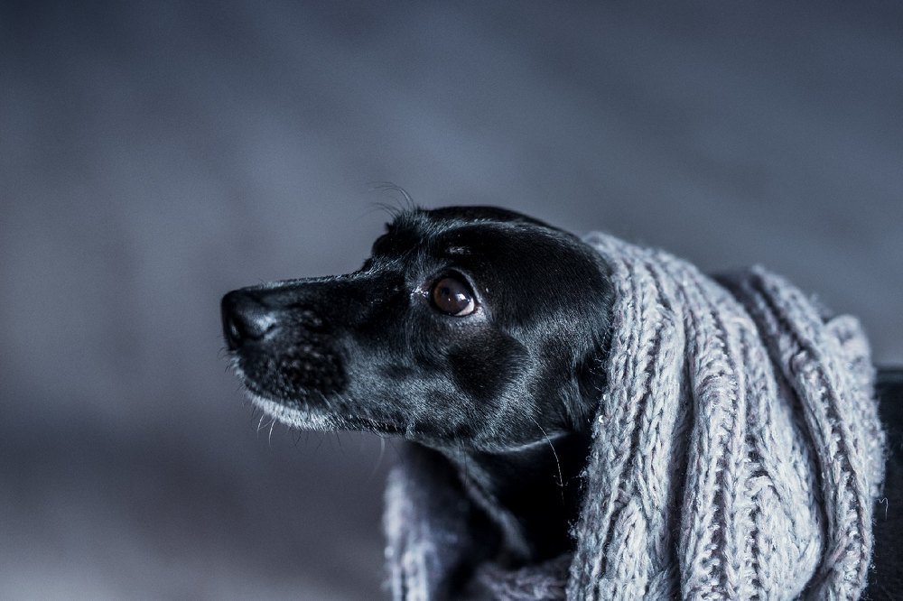 Photograph by Екатерина Головатюк