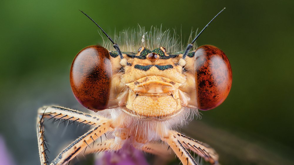 Photograph by Nikolozi Meskhi