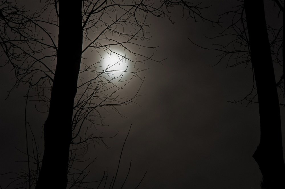 Photograph by Игорь Панченко