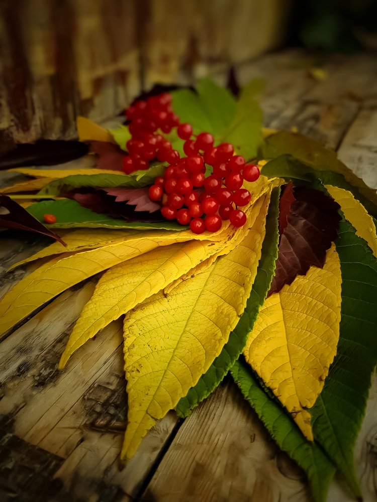 Photograph by Катерина Коханова