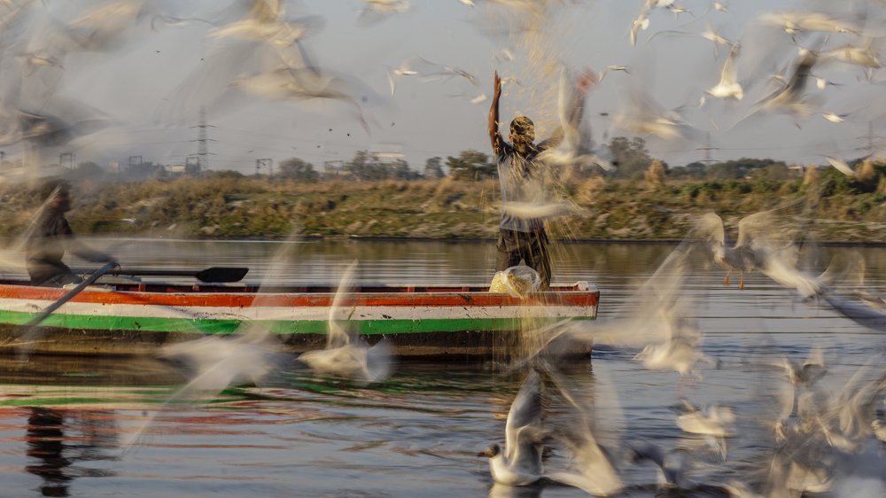 Фотография автора savitri Rawat