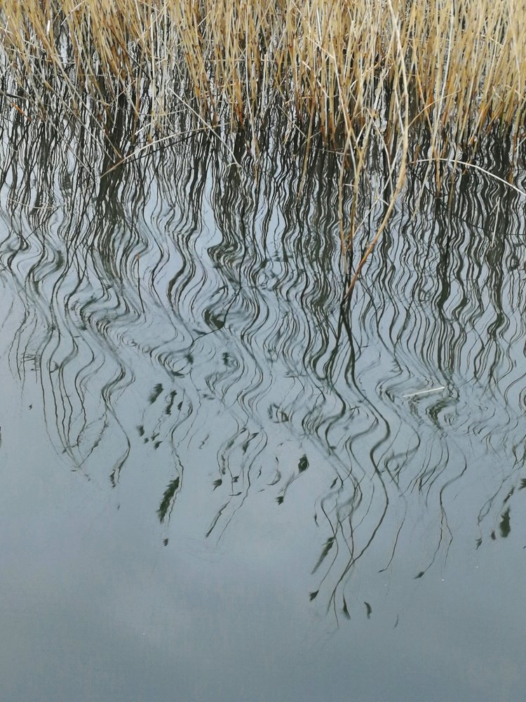 Photograph by Катерина Косматова