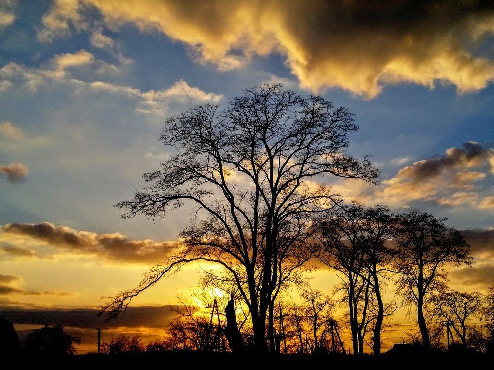 Photograph by Денис Лащ