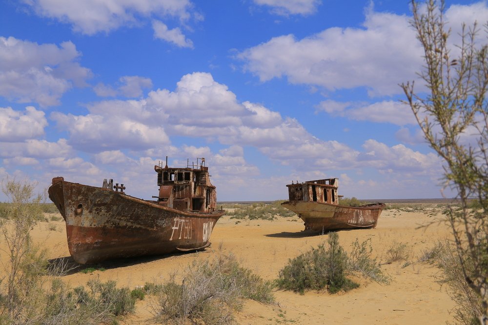 Photograph by Хамдамжон Мамадалиев