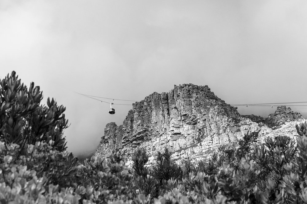 Photograph by Marcelo Argañaraz