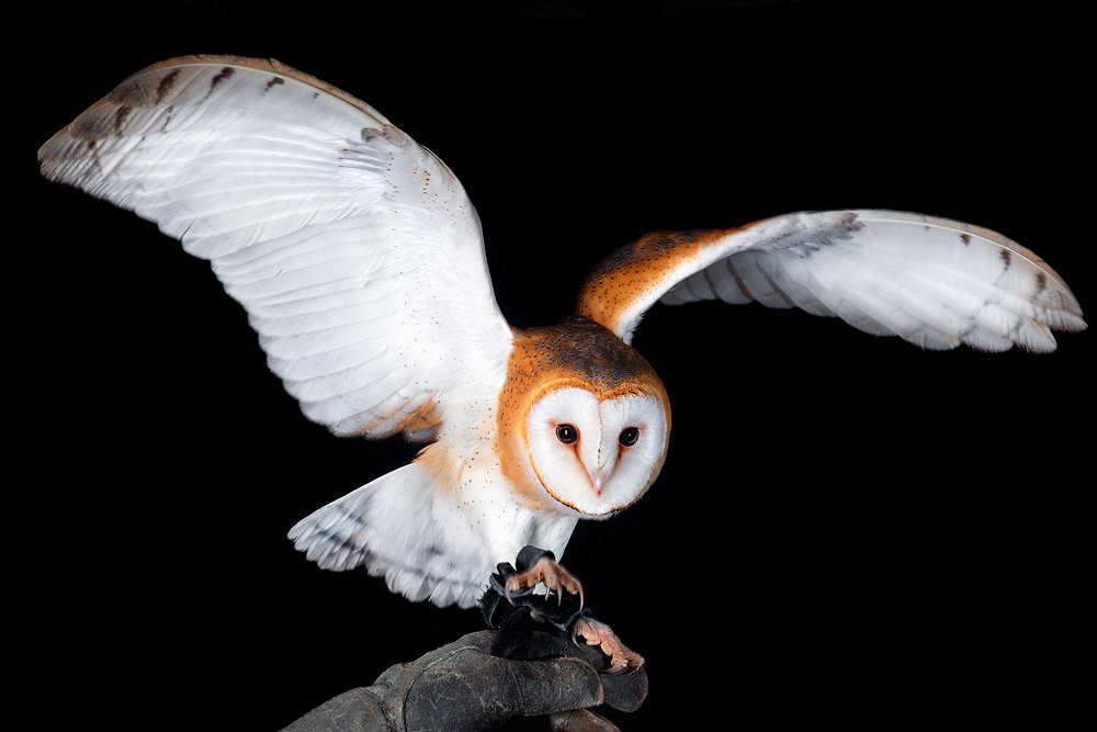 Photograph by Nikolozi Meskhi