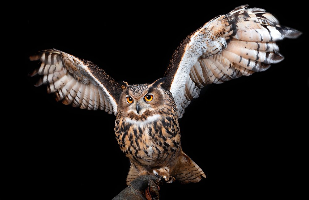 Photograph by Nikolozi Meskhi