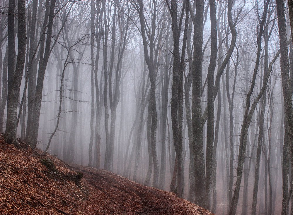 Фотография автора Марина Иванова