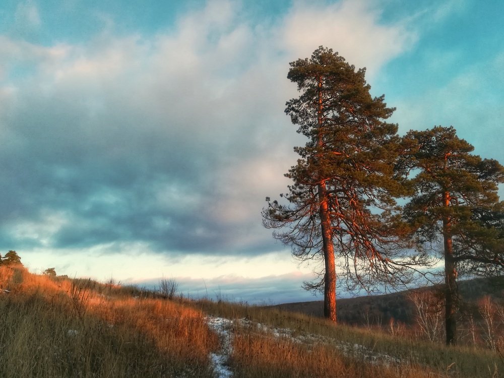В лучах заката