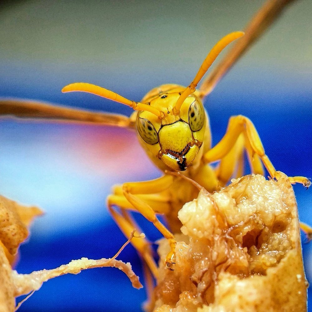 Photograph by Abhijit Roy