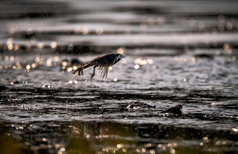 Скромная, но интересная