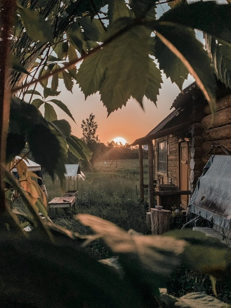 Photograph by Полина Соколова