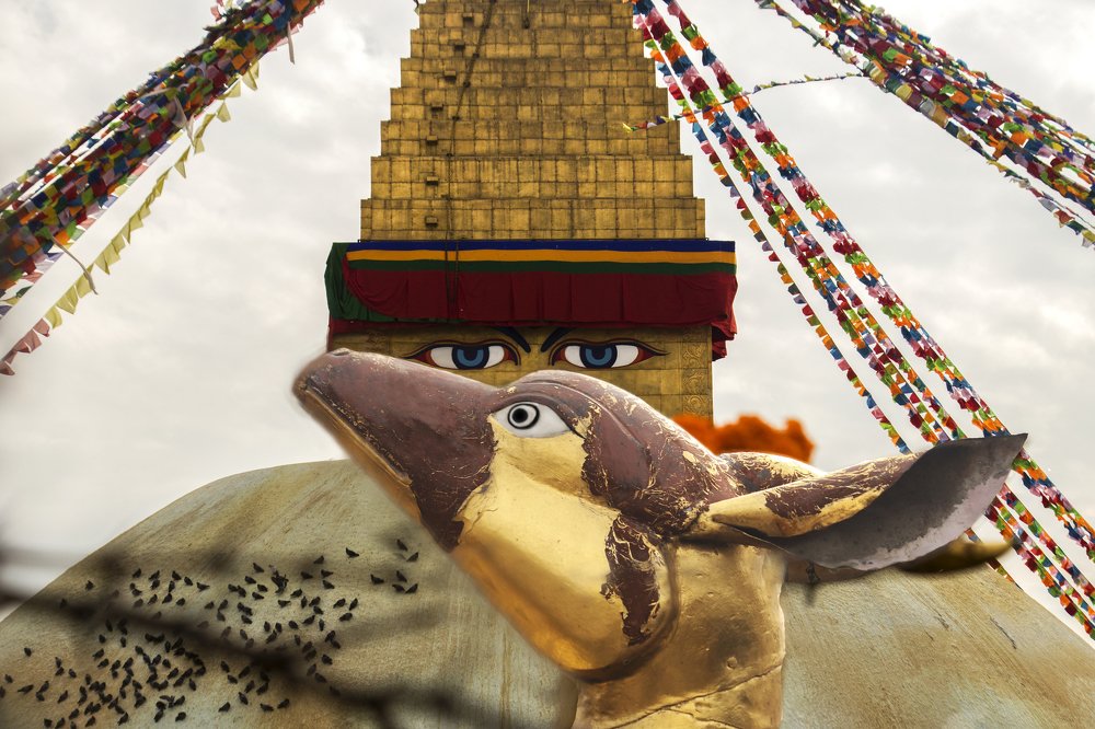 Photograph by Ritesh Manandhar