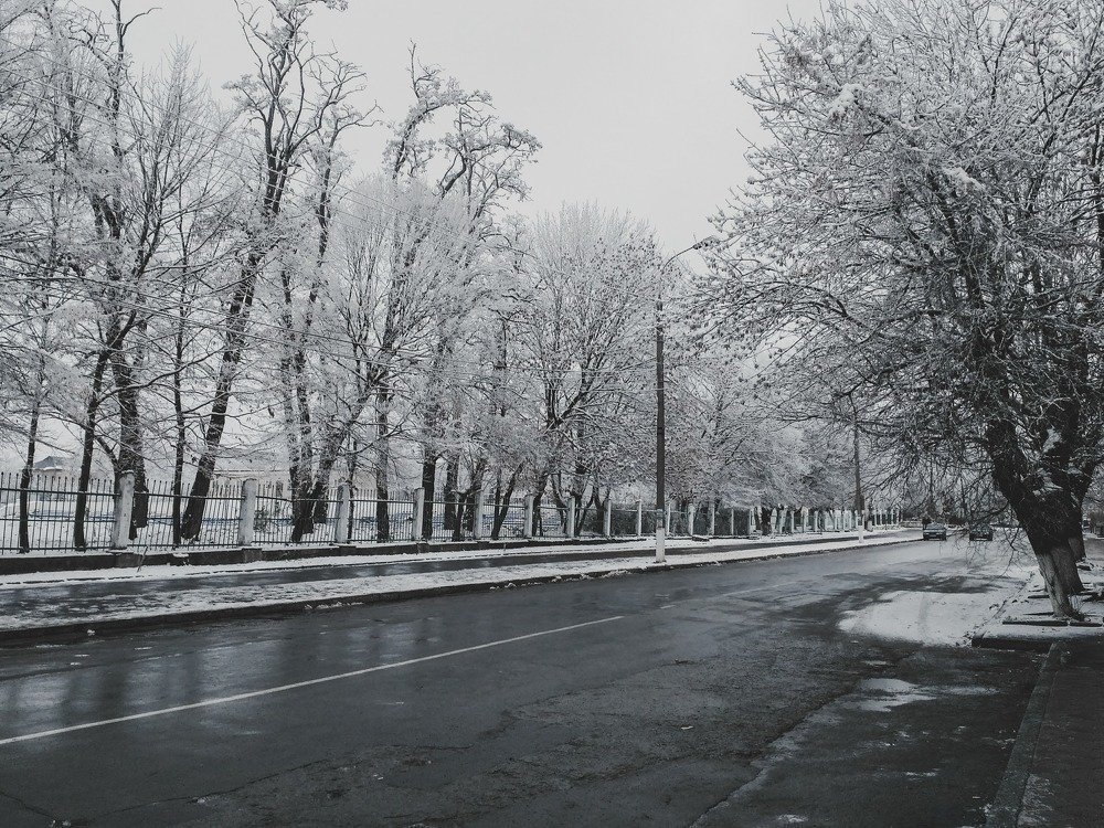 Photograph by Юлія Доманська