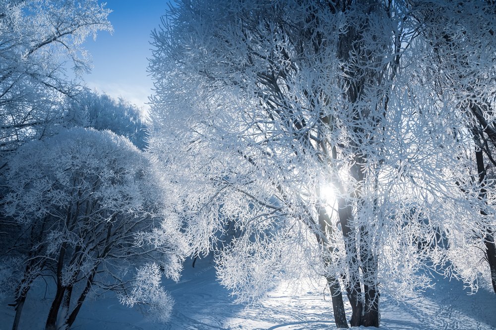 Зимнее волшебство