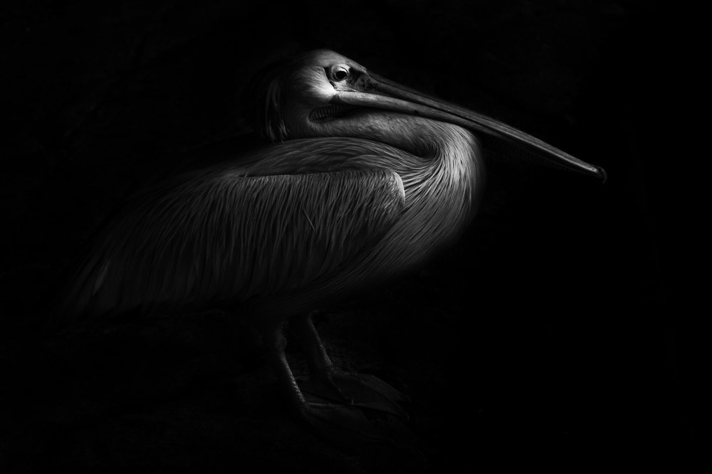 Photograph by Maychelle Alvior