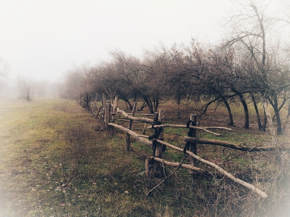 Photograph by Павел