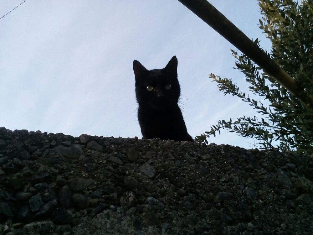 Photograph by Nikolozi Berishvili