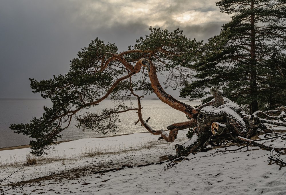 Photograph by Олег Иваницкий