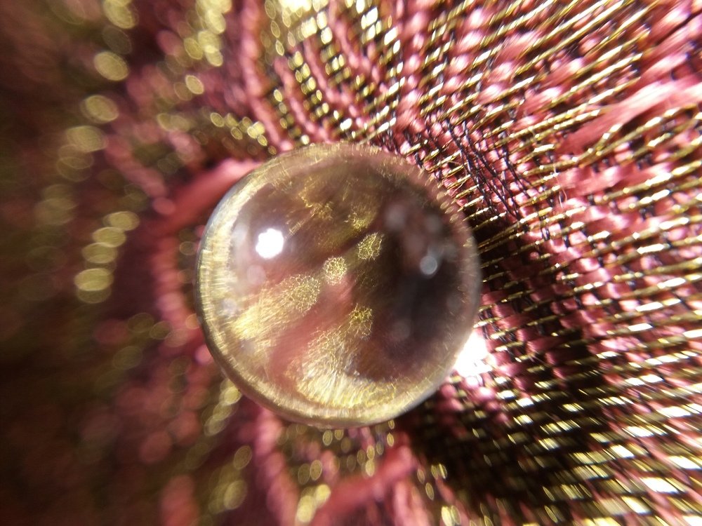 Фотография автора Ася Бабушкина