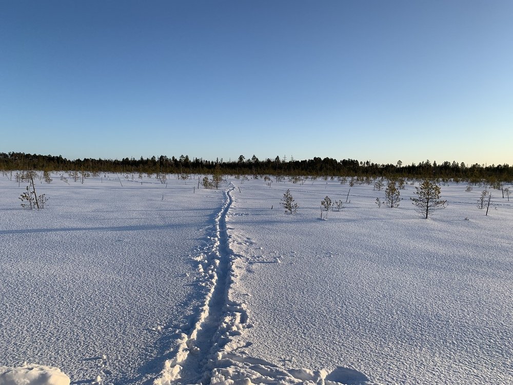 Photograph by Dinar Nigmatullin