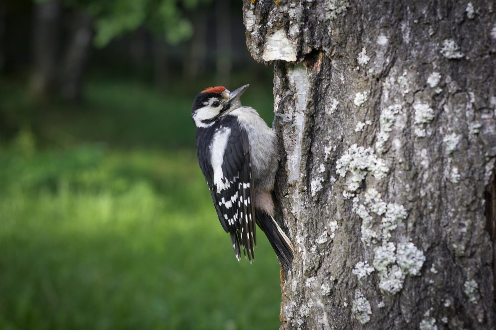Photograph by Алексей Жданков