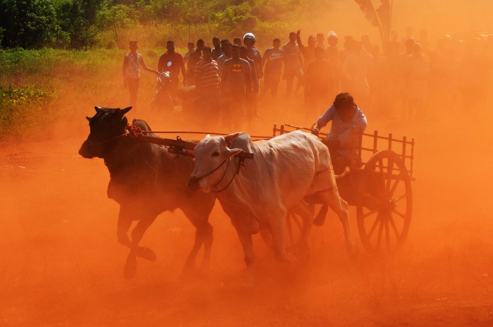 Photograph by Suyothami