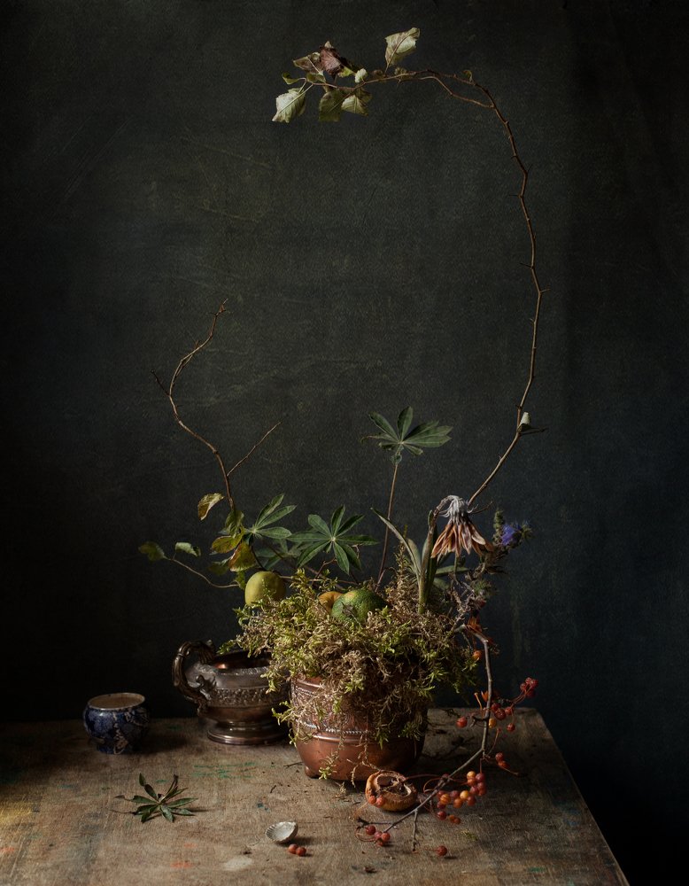 Photograph by marianna marina