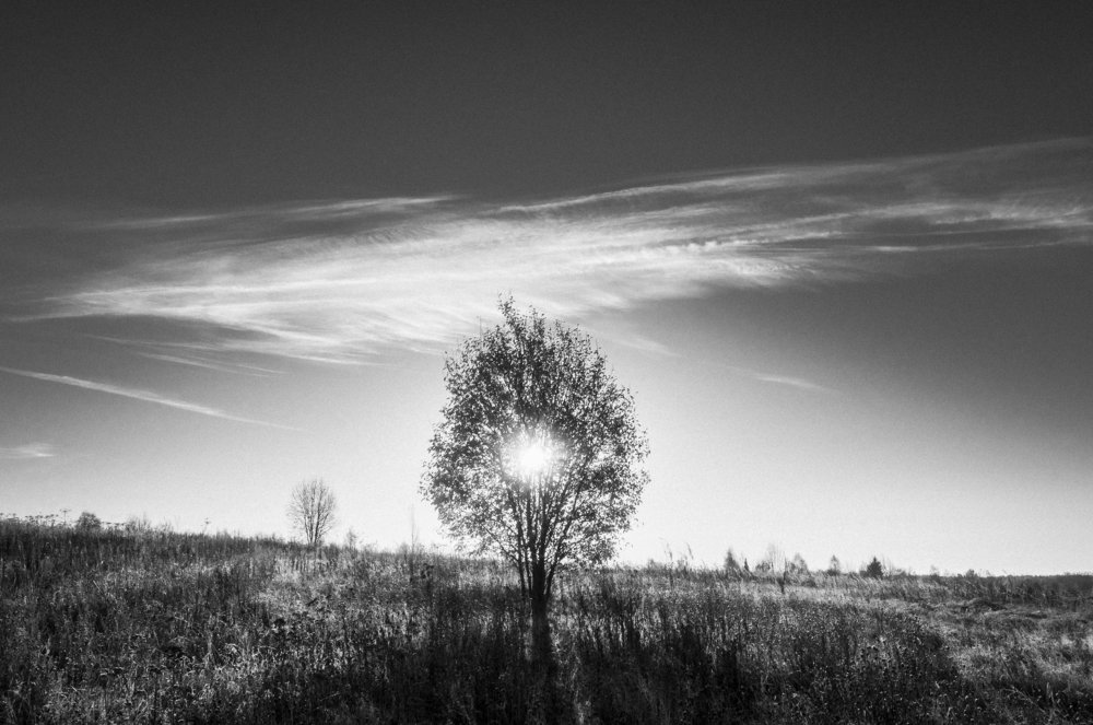 Фотография автора Кирилл Сизов