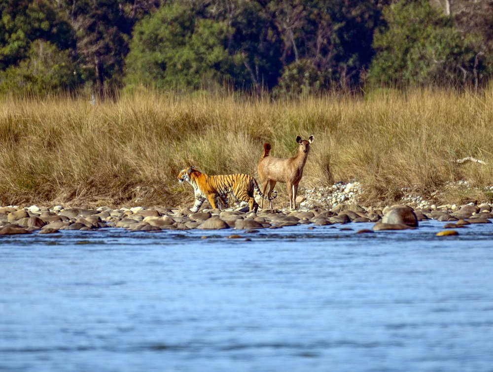 Strange things happen in this world