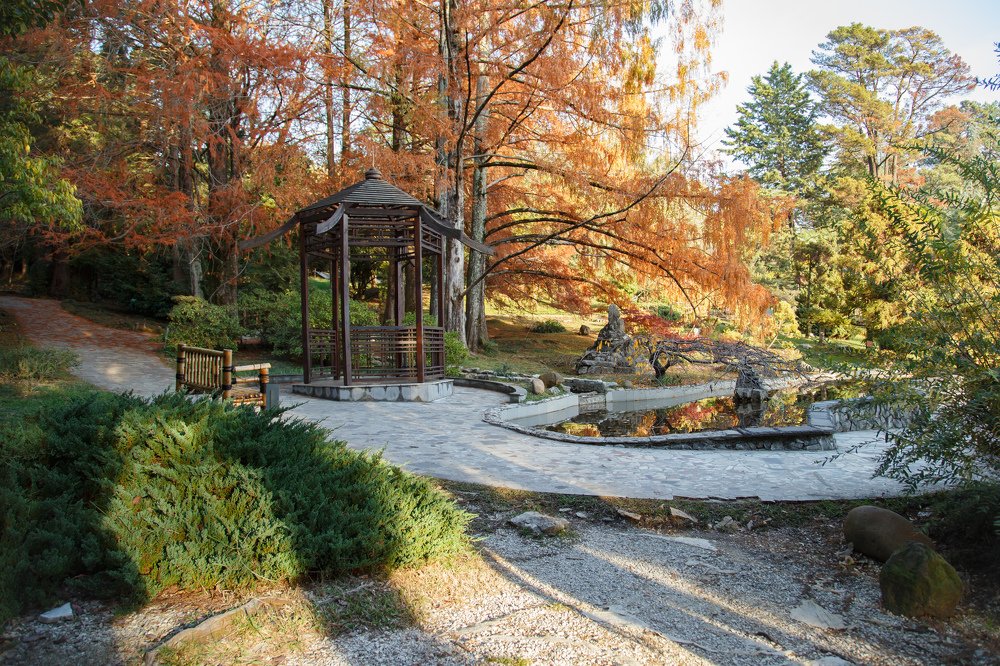 Photograph by Оксана Ферхова