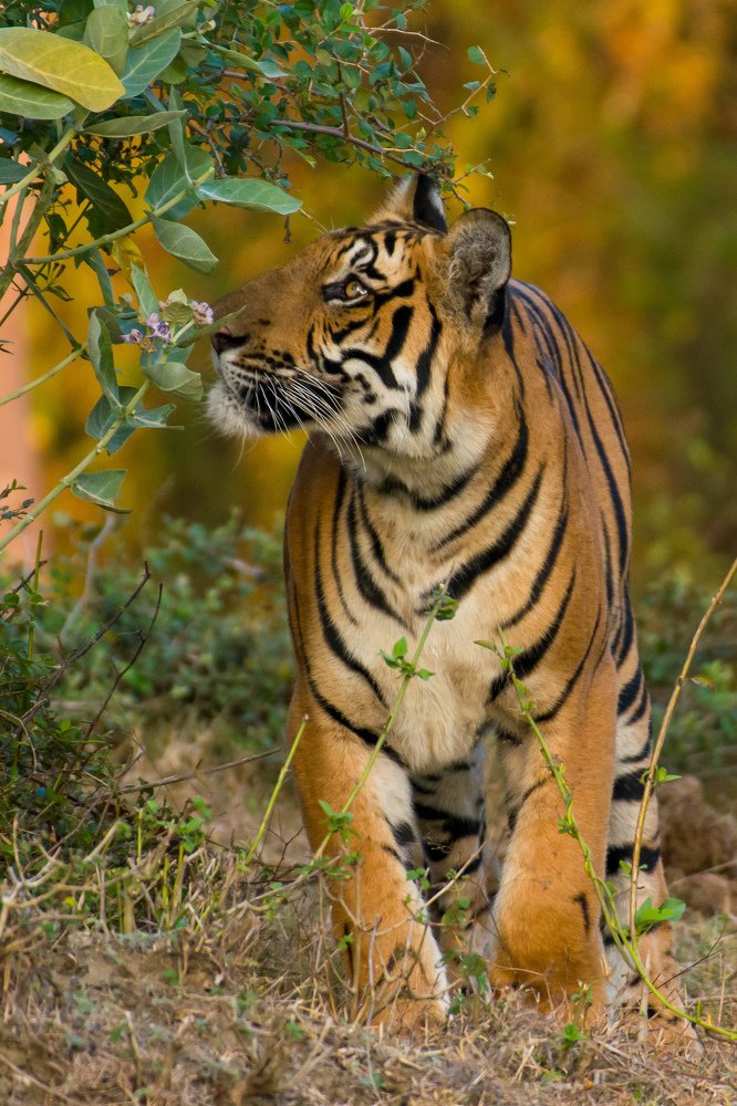 Photograph by Avinash P C