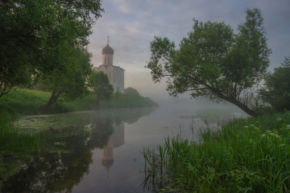 Покрова на Нерли ранним летним утром