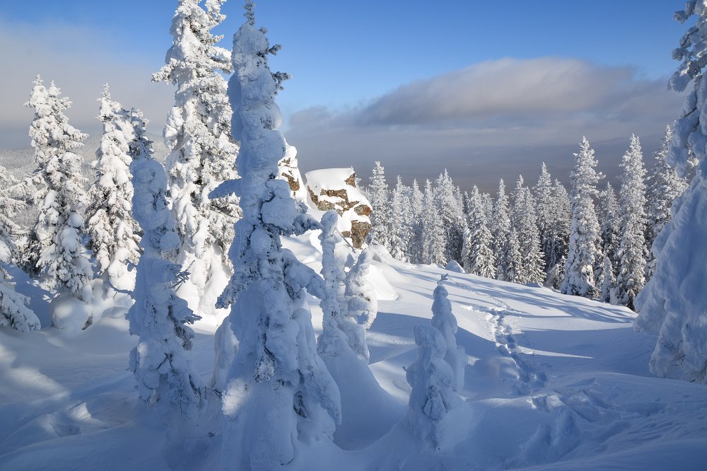 Photograph by Ольга Колосова