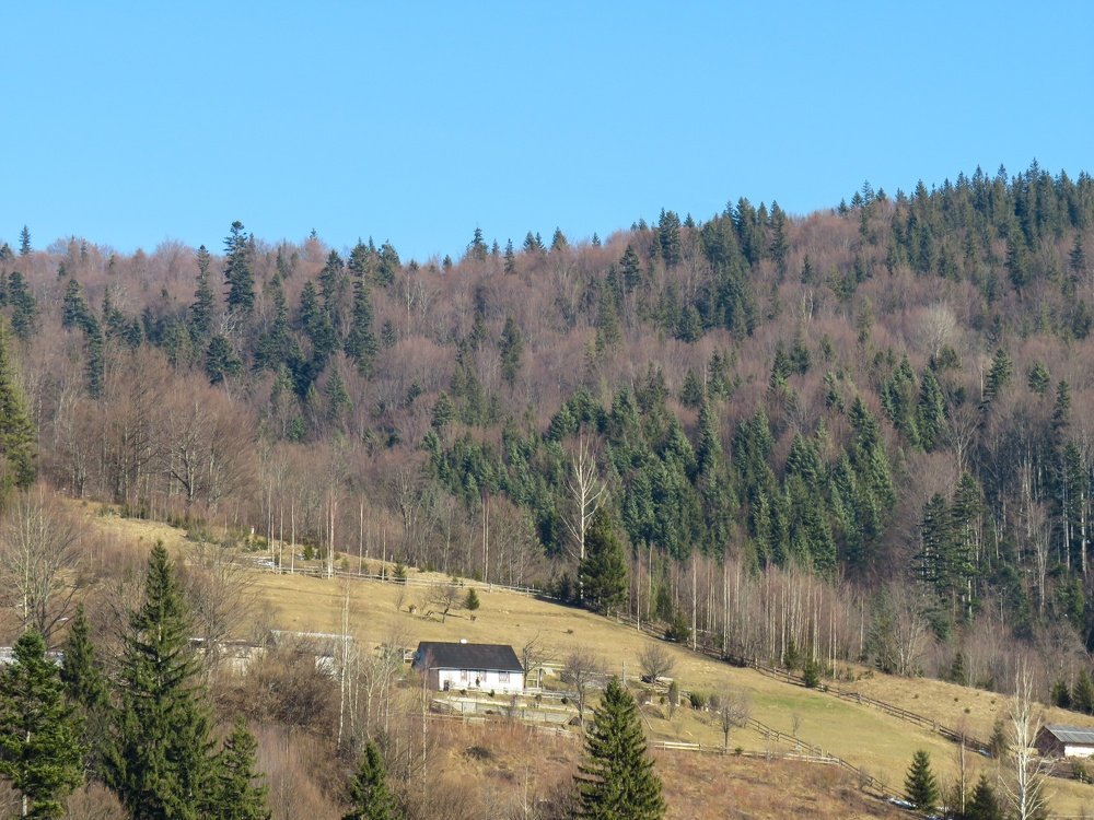 Карпатский пейзаж