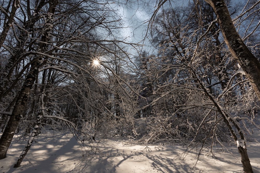 Photograph by Helen Vasilieva